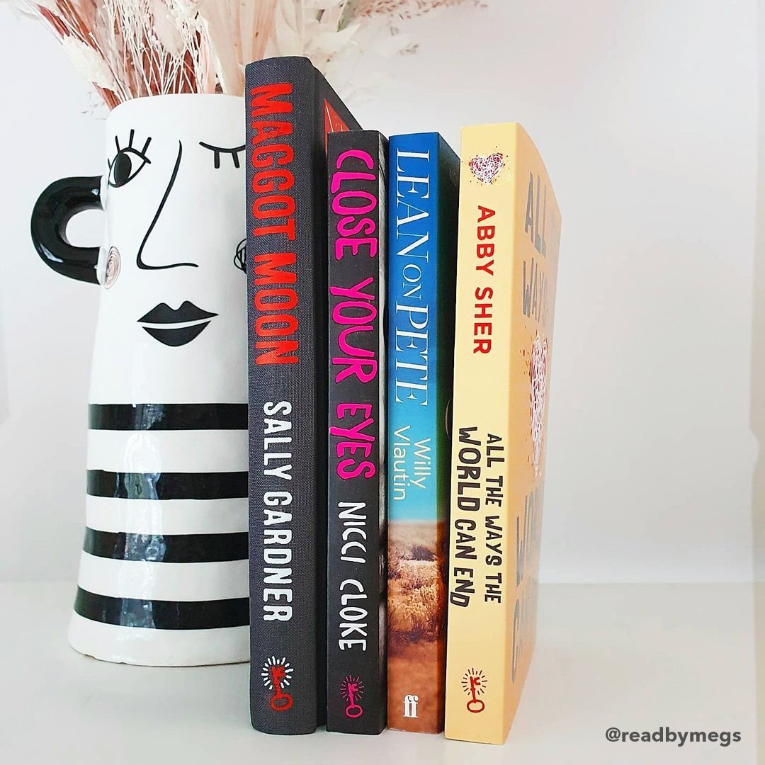 Young Adult - Box of 4 Surprise Books - A Box of Stories